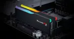 M&auml;lu G.SKILL 32 GB DIMM DDR5-6000(schwarz. F5-6000J2836G16GX2-RM5RK. Ripjaws M5 RGB. INTEL XMP)