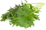 Click & Grow Smart Garden Refill Lehtnaeris 3tk