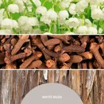 Millefiori Refill for reed diffuser 500 ml WHITE MUSK