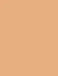 Shiseido UV Protective Compact Foundation Medium Ochre 12g - SPF30 Makeup naistele