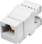 ALANTEC Q-LANTEC MKN-U6-1 wire connector RJ45 UTP Category 6 Unshielded White