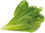 Click & Grow Smart Garden refill Rooma salat 3tk
