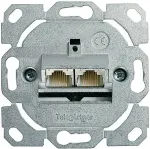 Teleg&auml;rtner AMJ45 - Ausgang - RJ-45 X 2 - 2 Ports (J00020A0395)