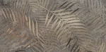 No name DEC TILE GOLDEN FERN 60X120 (1.44)
