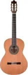 No name Prodipe Guitars Recital 300 4/4 - gitara klasyczna