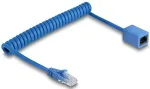 DeLOCK RJ45 Spiralkabel Stecker zu Buchse Cat.6 UTP 0,6-1,2m