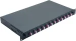 No name Helos 375559 rack cabinet 1U Black