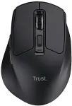 Hiir TRUST COMPUTER Trust Niven mouse Office Right-hand RF Wireless + Bluetooth 3200 DPI