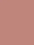 Artdeco Hydra Lip Booster 36 Translucent Rosewood 6ml - Lip Gloss naistele