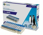 Tooner G&G Patrone Epson 26XL XL 10er-Set: Je 2x BK, FotoBK,C,M,Y