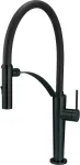 Deante Kitchen faucet with flexible spout - 2 types of spray