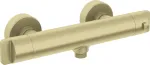 Deante Thermostatic shower faucet