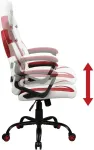 SuBsonic Junior Gaming Seat Assassins Creed