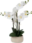 Home4you Valge orhidee 4 oksaga IN GARDEN, H55cm, hall pott