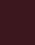 Inebrya Bionic Color 5/5 Light Chestnut Mahogany 100ml - Hair Color uniseks