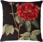 Home4you Padi HOLLY ROSE, 45x45cm, elegantne roos/must, 50%puuvill, 50%pol&uuml;ester, kangas-331/289.