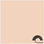 Colorama paberfoon 2,72x11m, oyster (0134)