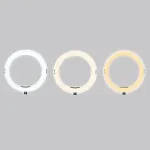 Agfaphoto AGFA ARL11XL Ring Light + Tripod