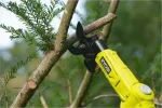 Ryobi 18V ONE+ RY18PLA-0 Cordless Pole Pruner