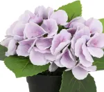 Home4you Kunstlill IN GARDEN H18cm, lilla hortensia potis