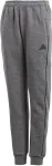 Adidas Children's pants Core 18 Sweat JUNIOR grey CV3957 116cm