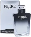 Gianfranco Ferre Gianfranco Ferr&eacute; Ferre must 100ml - Eau de Toilette meestele