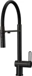 Deante Kitchen faucet with filter connection & flex spout