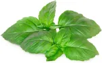 Click & Grow Smart Garden refill Marseille basiilik 3tk