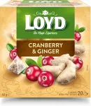 Loyd Tee j&otilde;hvika- ja ingverimaitseline 20 x 2g