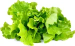 Click & Grow Smart Garden refill Lehtsalat 3tk