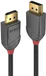 Lindy DisplayPort Kabel Anthra Line 0.5m