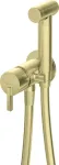 Deante Concealed bidet mixer with bidetta shower head
