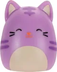 Squishmallows SQUISH-A-LONGS minifiguuride komplekt pimepakis, 2 tk, 2,5 cm