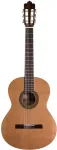 No name Prodipe Guitars Recital 200 4/4 - gitara klasyczna