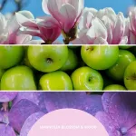 Millefiori Room Fragrance Spray 100 ml MAGNOLIA BLOSSOM & WOOD