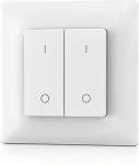 SKYDANCE PF1-2 RF Remote Control, Single Color, 2 Zones