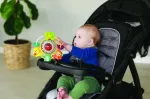 B-KIDS Ferris Wheel Infantino