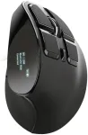 Hiir TRUST COMPUTER MOUSE USB OPTICAL ERGONOMIC/VOXX 23731 TRUST