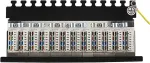 DELTACO Patch Panel, 12xRJ45, Cat6a, Wall Mountable, 10Gbps, Krone Terminals, Metal, Black / PAN-213