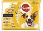 Pedigree Eine 4*100g kana&k&ouml;&ouml;gvilja