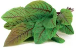 Click & Grow Smart Garden refill Verev oblikas 3tk