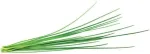 Click & Grow Smart Garden refill Murulauk 3tk