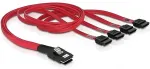 DELOCK mSAS 36Pin -> 4x SATA