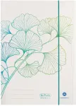 Herlitz kummiga kaaned A4 GREENline Ginkgo