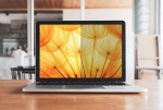 3m BP145W1B Privacy Filter 14.5 Bright Screen Laptop 16:10