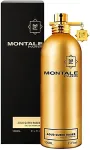 Montale Aoud Queen Roses 100ml - Eau de Parfum naistele