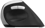 Hiir Rapoo EV250 ergonomic mouse black