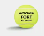 Dunlop Tennis balls FORT ALL COURT TS Premium 4PET ITF