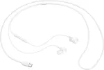 SAMSUNG EO-IC100 Headset Wired In-ear Calls/Music USB Type-C White