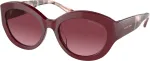 Michael Kors P&auml;ikeseprillid NAISTELE MK2204U39498H (L&auml;&auml;ts/Sild/K&otilde;rvakaar) 54/18/140 mm